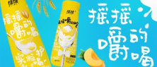 SSI޹˾I